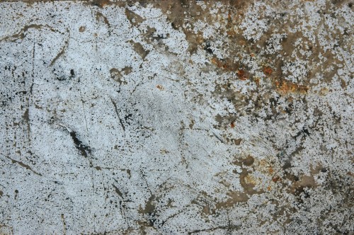 Image white and brown concrete floor