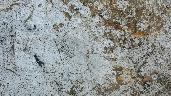 Image white and brown concrete floor