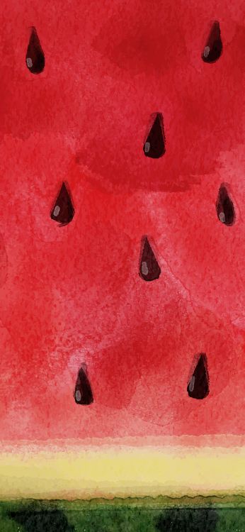 Citrullus, Wassermelonen-Telefon, Watermelon, Natur, Blau. Wallpaper in 1242x2688 Resolution