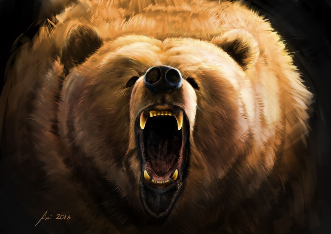 Brown Bear With Blue Eyes. Wallpaper in 3840x2714 Resolution