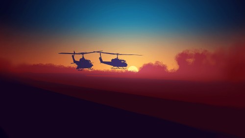 Image silhouette of 2 birds flying over the field during sunset