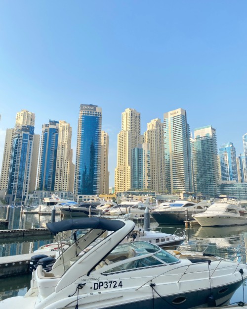 Image marina, tower block, watercraft, metropolis, city