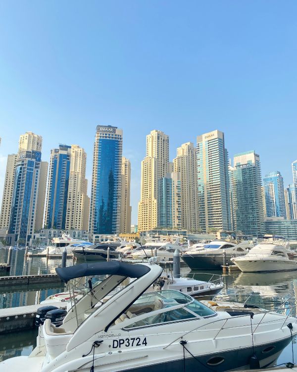 marina, tower block, watercraft, metropolis, city