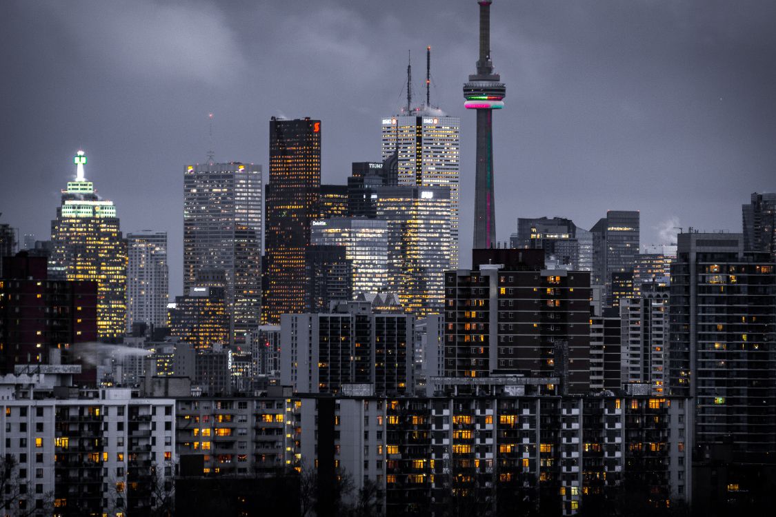 city skyline during night time