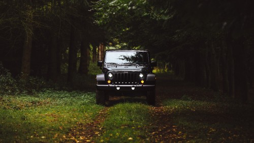 Image black jeep wrangler on green grass field surrounded by green trees during daytime