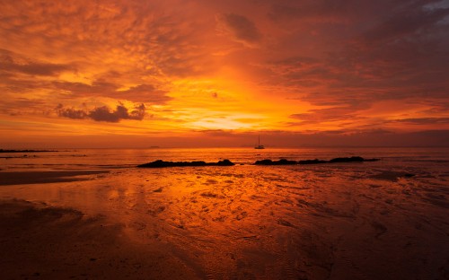 Image people on beach during sunset