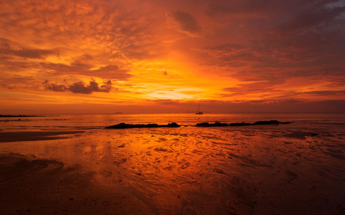 people on beach during sunset