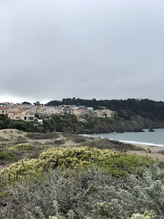 Costa, Ciencia, Biología, la Vegetación, la Comunidad Vegetal. Wallpaper in 1536x2048 Resolution