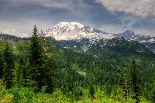 Image green trees near snow covered mountain under cloudy sky during daytime