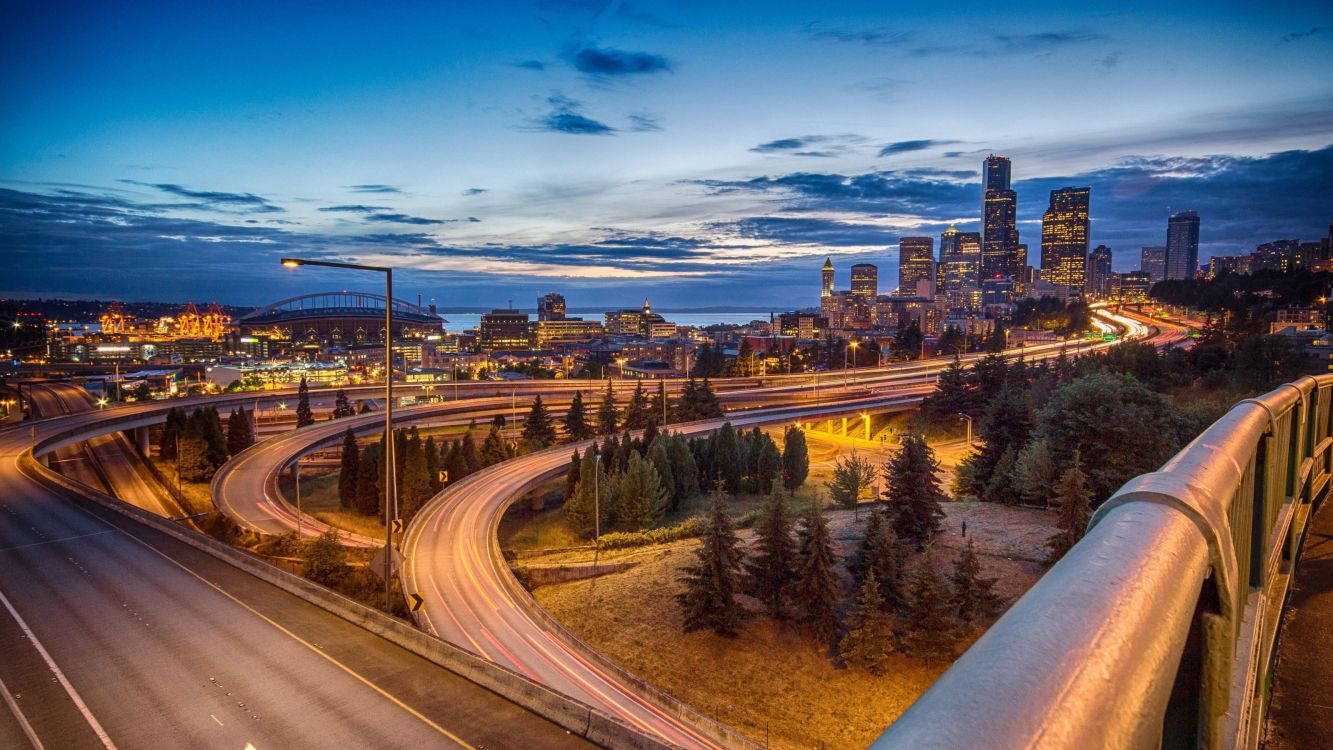 city with high rise buildings during night time