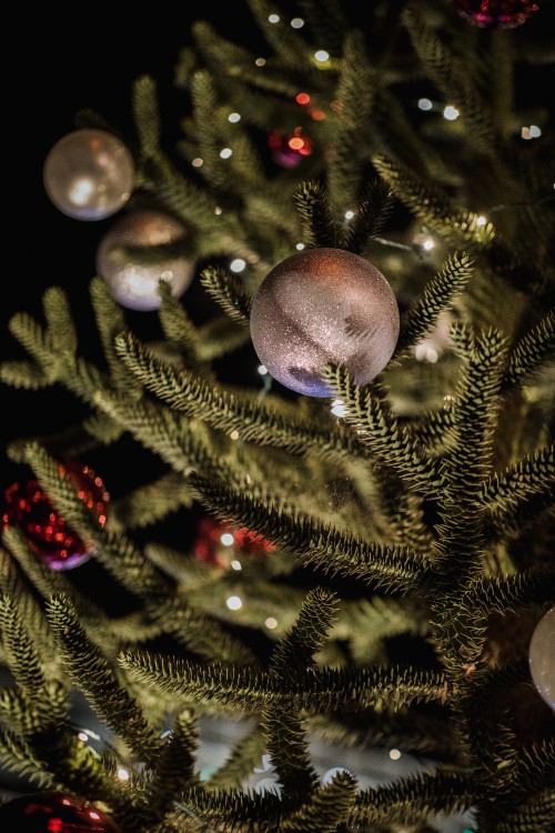 Weihnachten Hintergrundbilder Weihnachten Hd Bilder Fotos Kostenlos Herunterladen