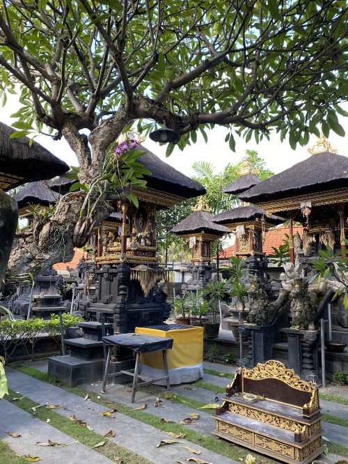 Image bali, tree, shinto shrine, roof, garden