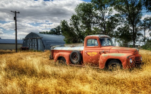 Image red single cab pickup truck on brown grass field near green trees under white clouds and