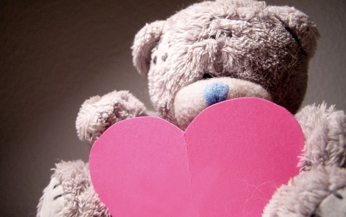 Image teddy bear, stuffed toy, pink, toy, love