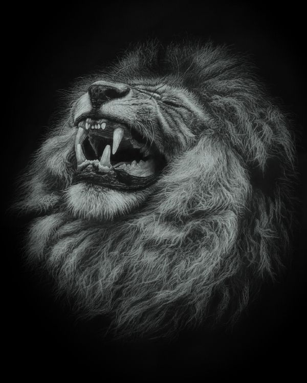 Lion With Mouth Open Illustration. Wallpaper in 1920x2400 Resolution