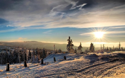 Image snow covered field and trees during sunrise