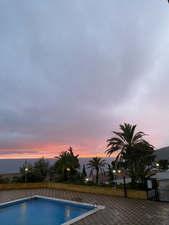 Palmier, Immobilier, Resort, Soir, Matériau Composite. Wallpaper in 1536x2048 Resolution