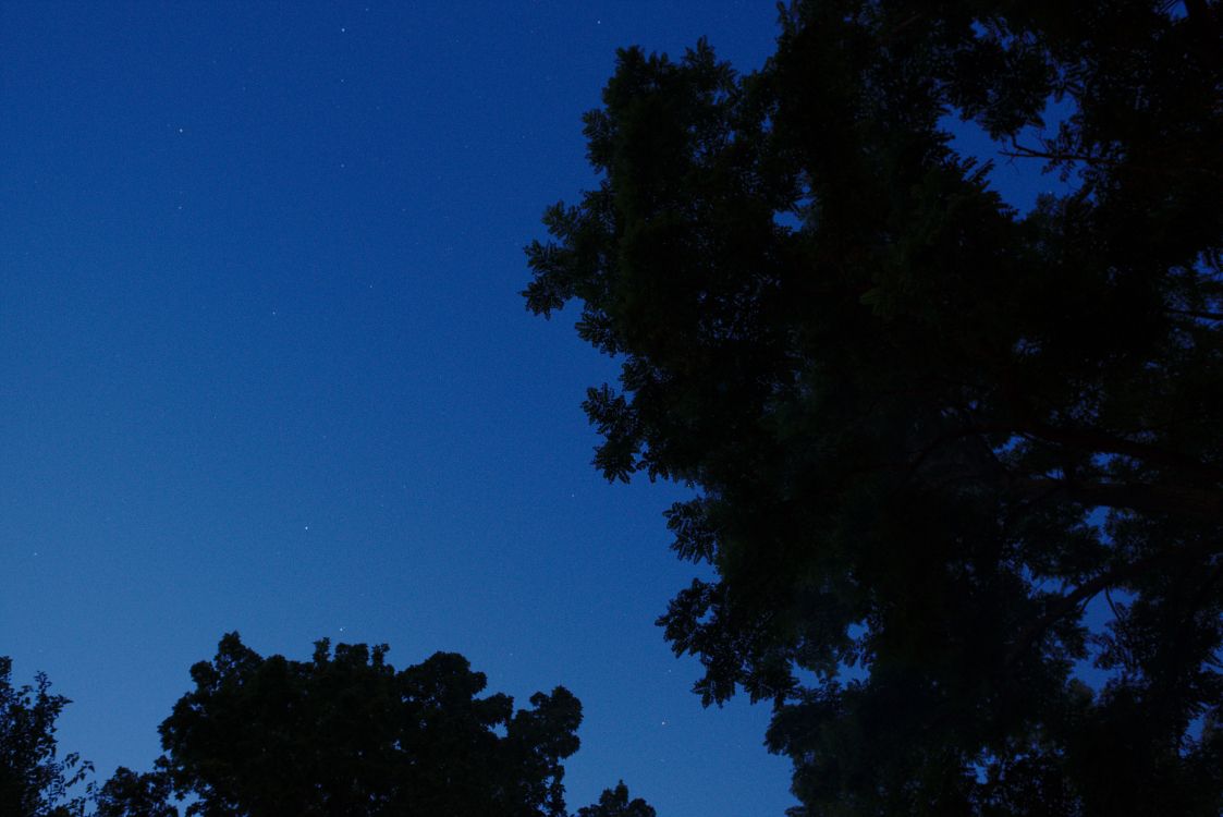 Grüne Bäume Unter Blauem Himmel Während Der Nacht Night. Wallpaper in 4936x3296 Resolution