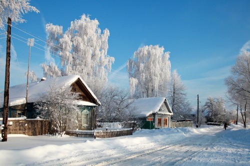 Image brown wooden house near trees covered with snow under blue sky during daytime