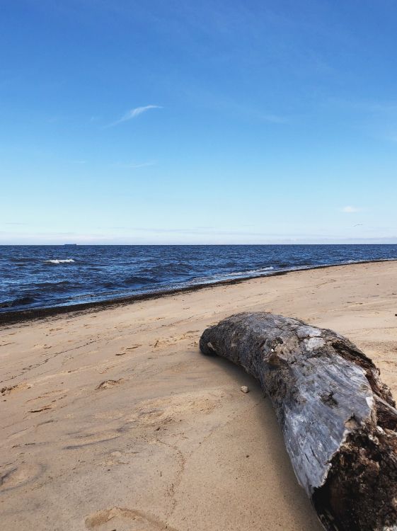 sea, beach, physics, science, shore