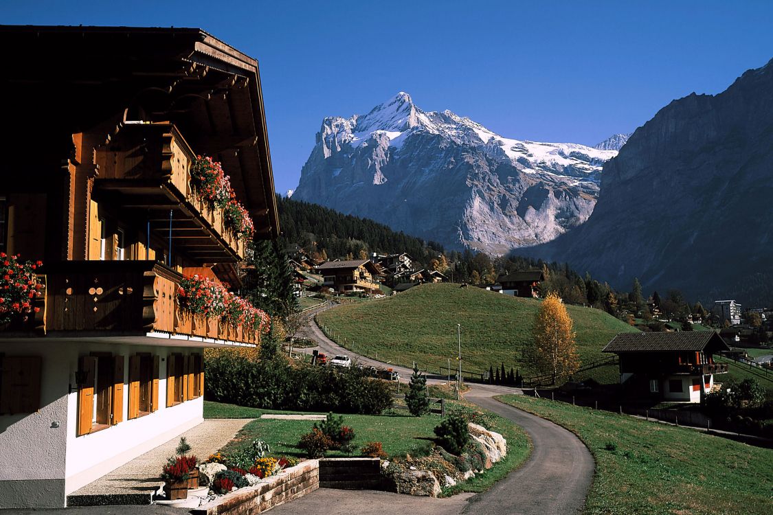 Braunes Und Weißes Haus in Der Nähe Von Grünen Bäumen Und Schneebedeckten Bergen Tagsüber. Wallpaper in 3072x2048 Resolution