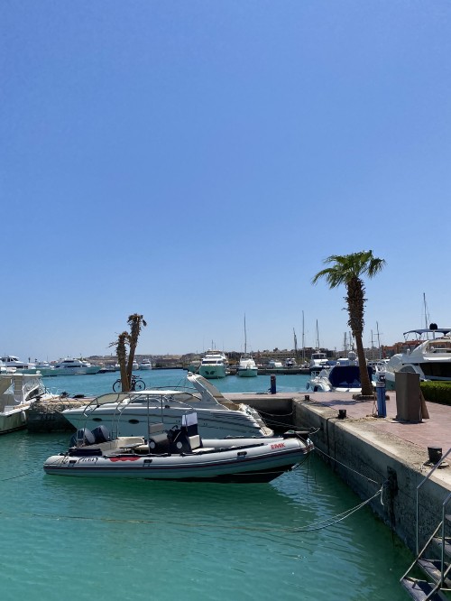 Image marina, water transportation, water, boat, yacht