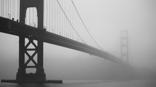 Image grayscale photo of bridge over body of water