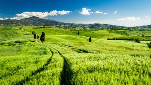 Image green grass field under blue sky during daytime