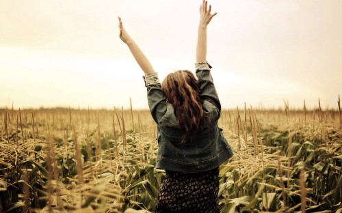 Image grass family, crop, harvest, woman, girl