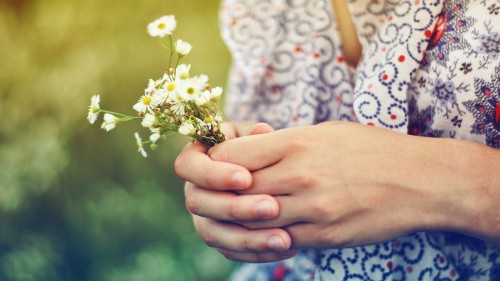 Image person holding yellow and white flower