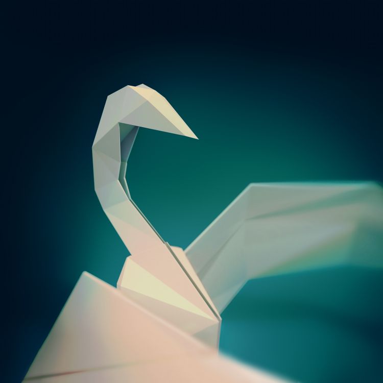 Winkel, Segelfisch, Mit Einer Tablette, Betriebssystem, Jolla. Wallpaper in 2048x2048 Resolution