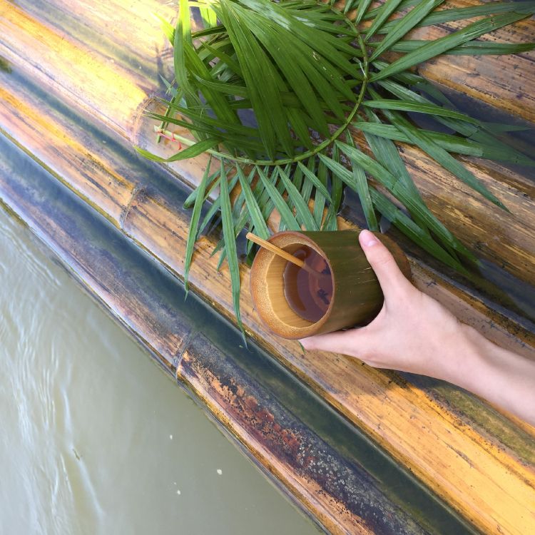 Tallo de la Planta, Palmera, Ciencia, Biología, Planta Terrestre. Wallpaper in 2448x2448 Resolution