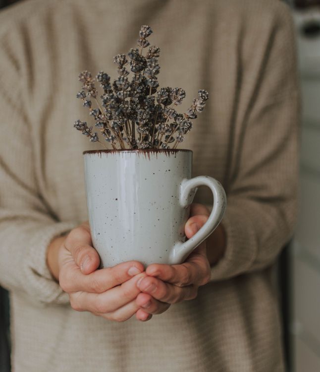 Person Holding White Ceramic Mug With Brown and White Flowers. Wallpaper in 3902x4527 Resolution