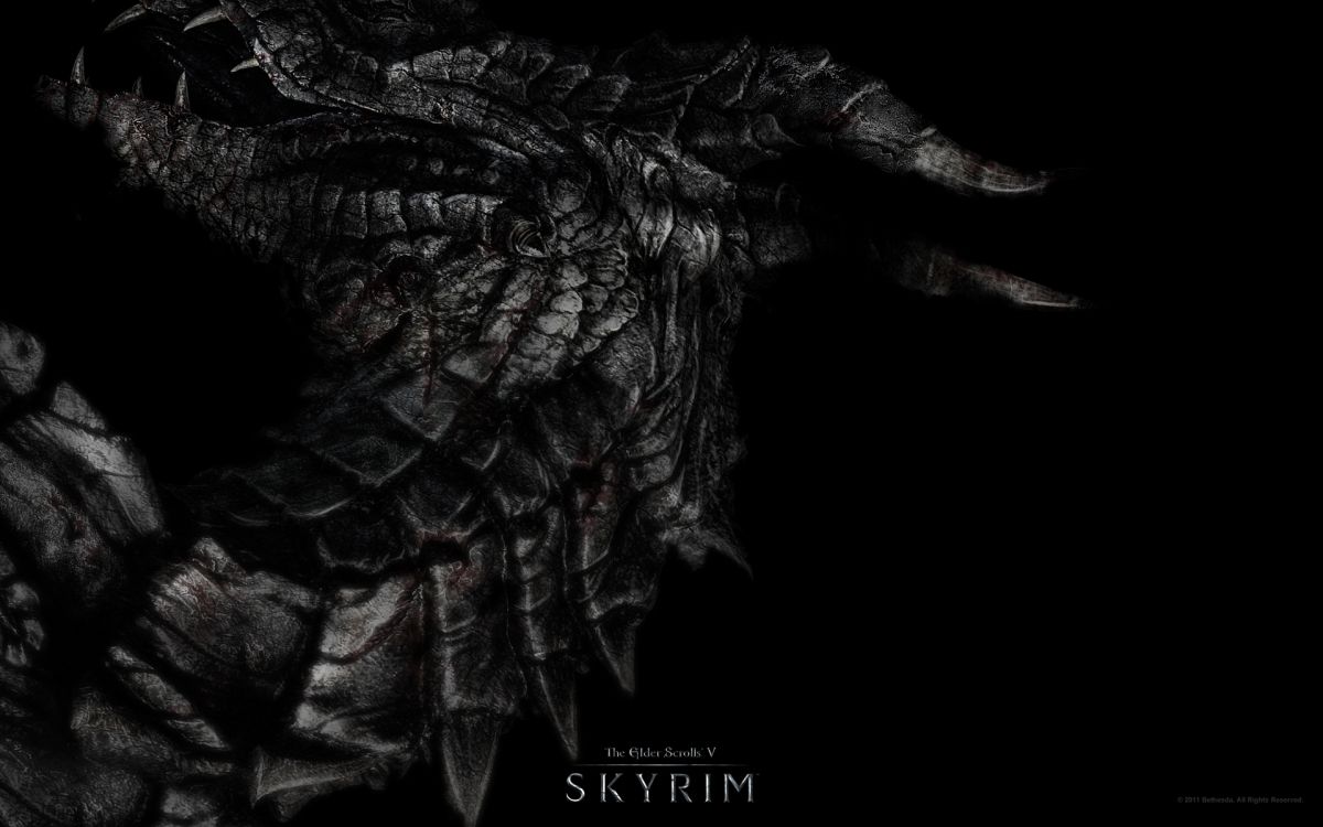 Dragon, Noir, Monochrome, The Elder Scrolls v Skyrim, Mode Monochrome. Wallpaper in 1920x1200 Resolution