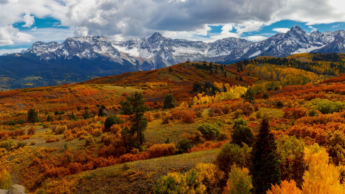 性质, 自然景观, 自然环境, 落叶松, 高地 壁纸 3840x2160 允许