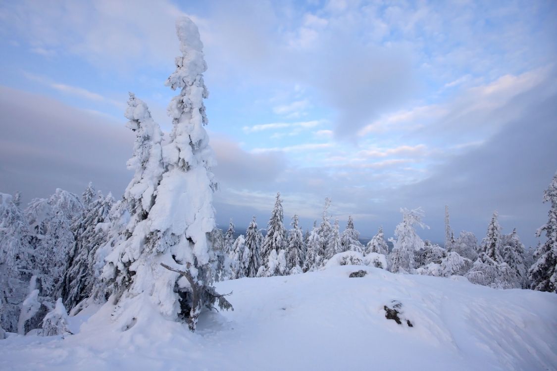 Arbres Couverts de Neige Sous Des Nuages Blancs et un Ciel Bleu Pendant la Journée. Wallpaper in 3888x2592 Resolution