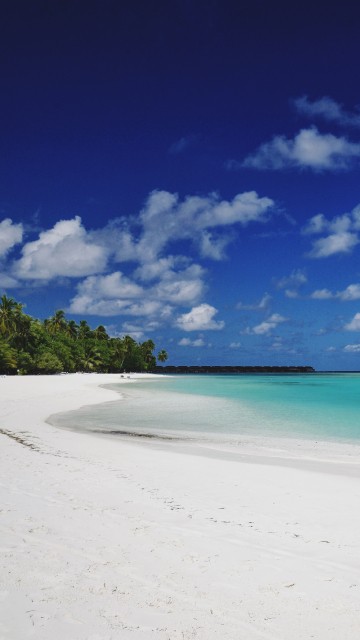 Image beach, sea, body of water, blue, tropics