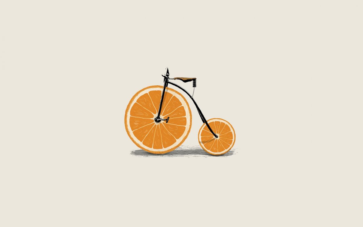 Fruit Orange Sur Fond Blanc. Wallpaper in 2560x1600 Resolution