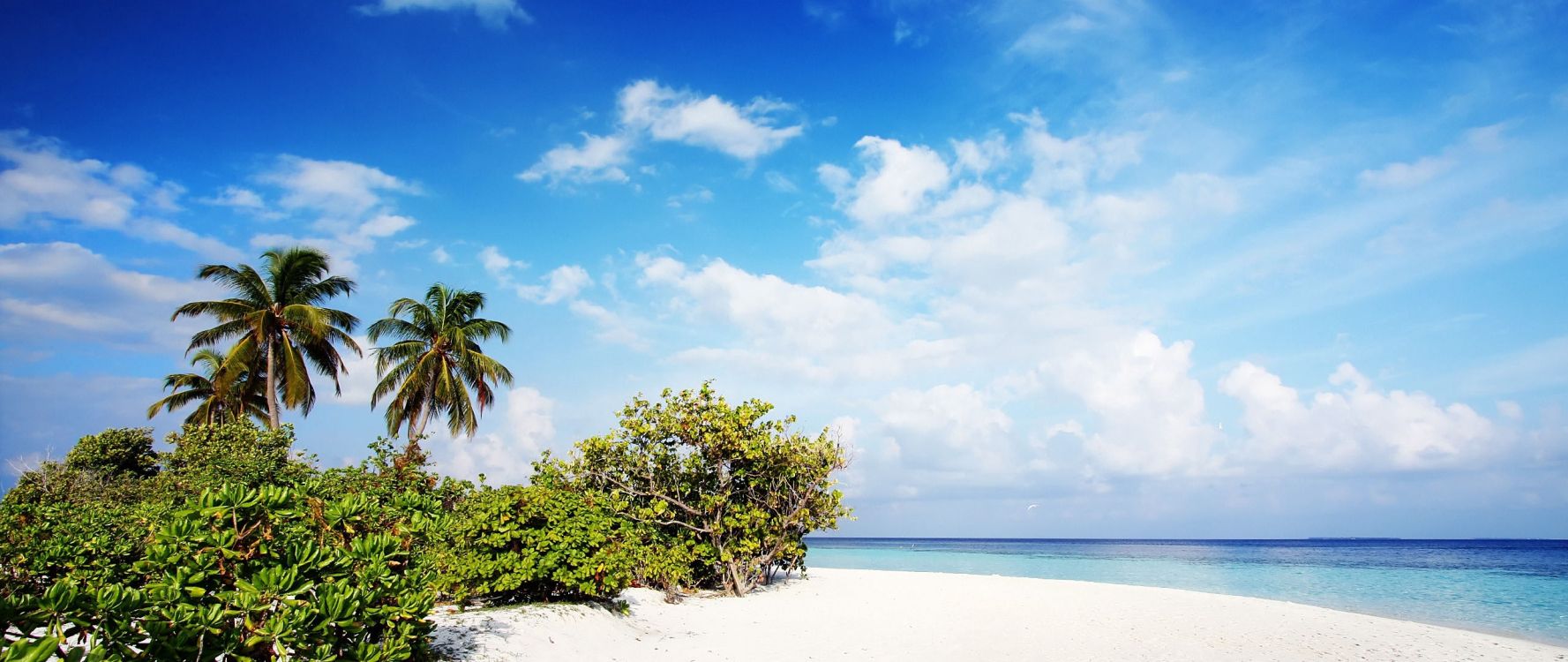 热带地区, 加勒比, 植被, 大海, Windows10 壁纸 2560x1080 允许