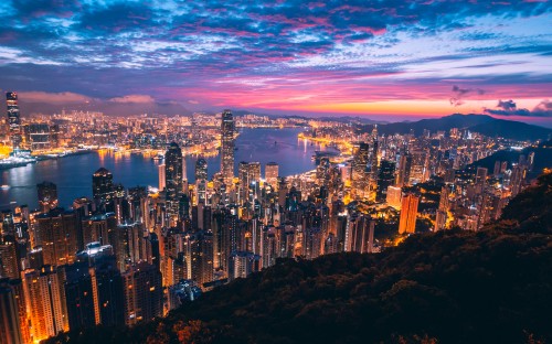 Image city skyline during night time