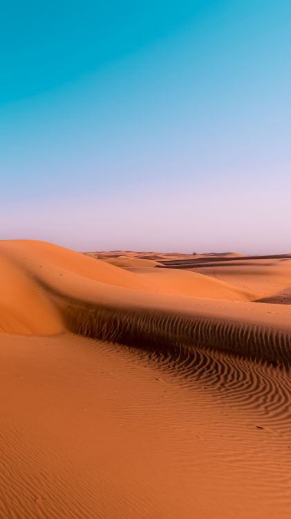 ERG, le Chant de Sable, Environnement Naturel, Paysage Naturel, Horizon. Wallpaper in 2259x4016 Resolution
