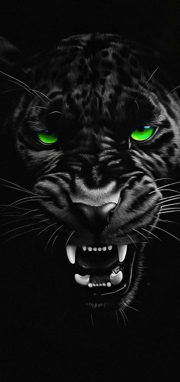 Pantera Negra, la Uefa Champions League, el fc Barcelona, Grabación de Vídeo, Tik Tok. Wallpaper in 1080x2280 Resolution