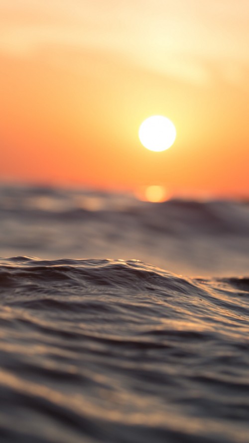 Image horizon, hotel carlos i silgar, Wanted, toms abril beach, water