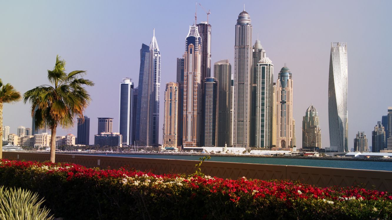 Flores Rojas Cerca de Los Edificios de la Ciudad Durante el Día. Wallpaper in 2560x1440 Resolution