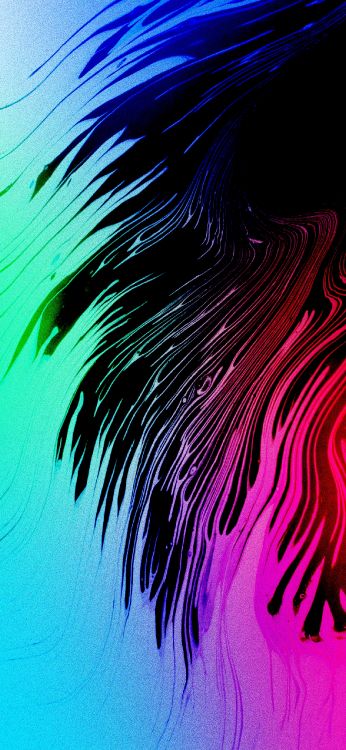 Fermer, Lumière, Eau, Art, Plante Terrestre. Wallpaper in 1284x2778 Resolution