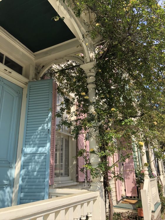 Madera, Propiedad, Inmueble, Accesorio, Moldeo. Wallpaper in 1536x2048 Resolution