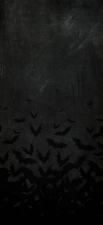 en Blanco y Negro, Agua, Gris, Neumáticos Para Automóviles, Patrón. Wallpaper in 1080x2340 Resolution