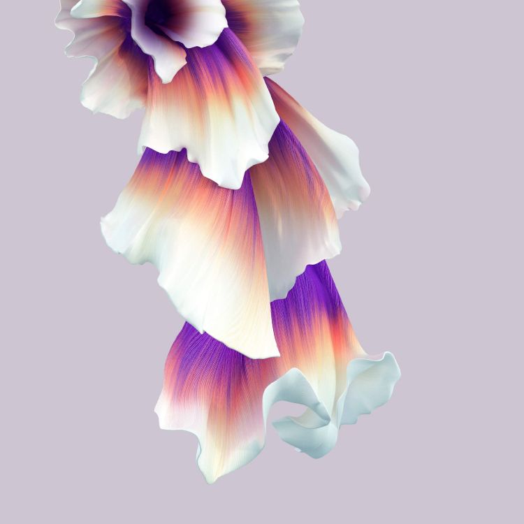 Huawei, Huawei Honor 20, Huawei Ehre 20 Pro, Tapete Ehre 20 Pro, Ehre 10. Wallpaper in 2340x2340 Resolution