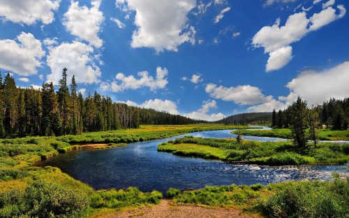 Image green trees beside river under blue sky during daytime