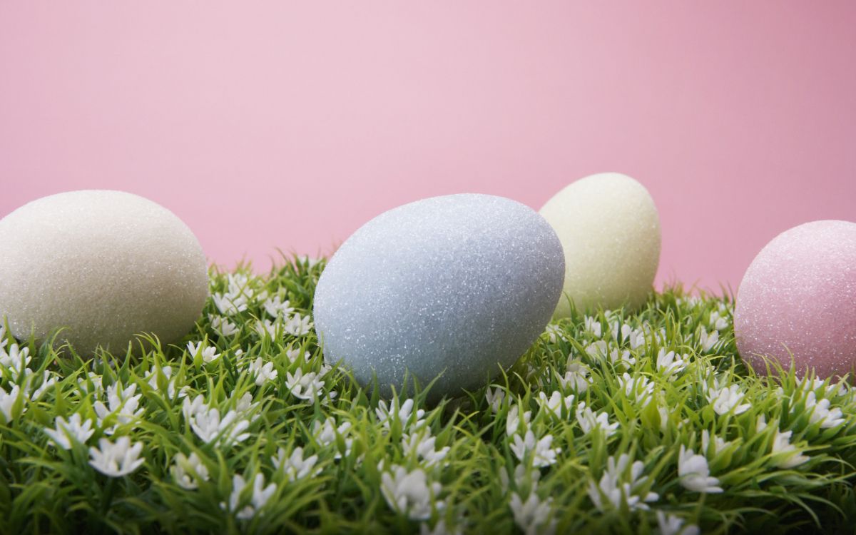 复活节彩蛋, 草, 复活节, 假日, 复活 壁纸 2560x1600 允许